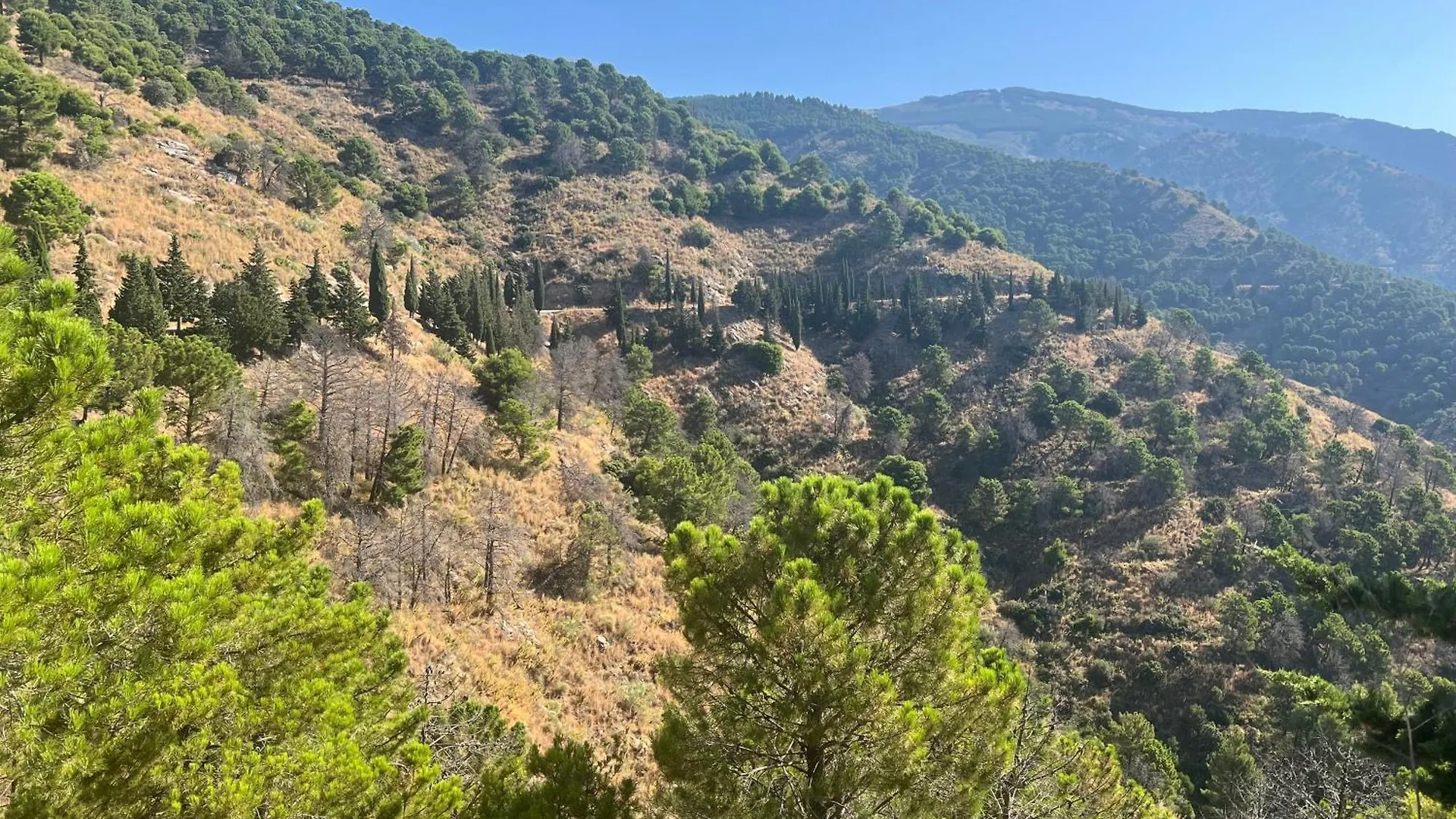 Villa El Dorado B&B And Wellness Компета 0*,  Испания